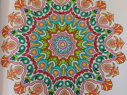 whatsapp bild 2024-07-18 um 12.23.42_77b9bc82